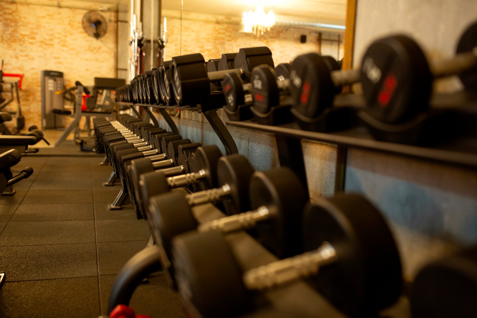 Zona de entrenamiento SilverGym La Carolina